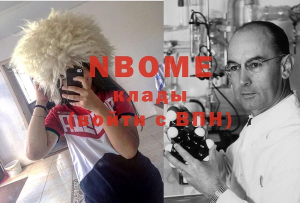 стаф Баксан