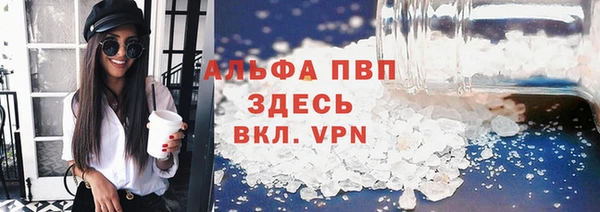 стаф Баксан