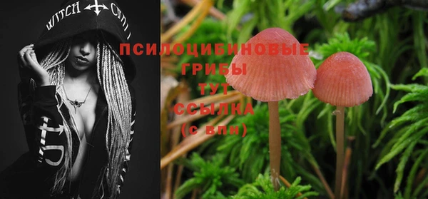 стаф Баксан