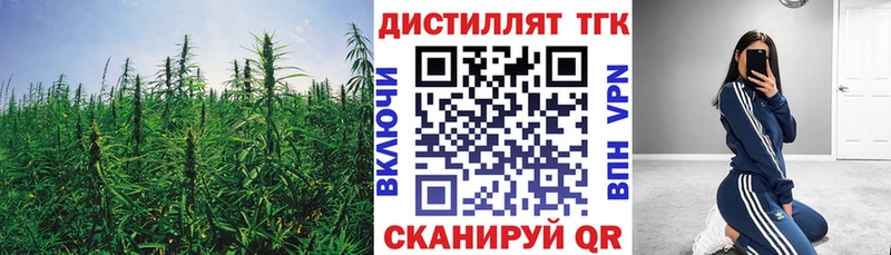 shop официальный сайт  Болгар  Дистиллят ТГК жижа 